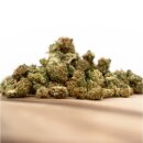 Herba di Berna - Afghan Kush Indoor Mini-Buds (CHF...