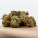 Herba di Berna - Cannaqueen Indoor (CHF 20.00/3g)