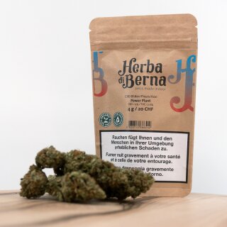 Herba di Berna - Power Plant Indoor (CHF 20.00/4g)