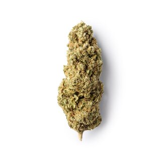 Green Passion - Passion Kush Indoor (CHF 13.00/2g)