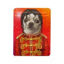 Pets Rock Bag - Pop (6.5cm x 8.5cm)