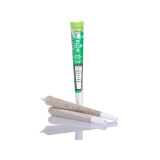 Blow Pure - 20 Joints Harlequin Green