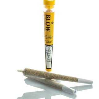 Blow - 20 Joints Sweet Haze Yellow