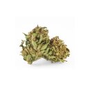 Cannatura - Wild Outdoor (CHF 21.90/5g)